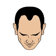 Stage 5