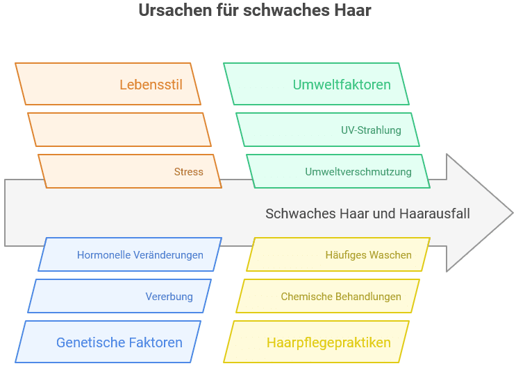 Grafische Veranschaulichung der Ursachen für schwache Haare