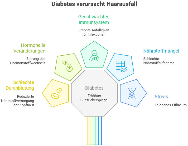 Infografik zum Thema Haarausfall bei Diabetes.
