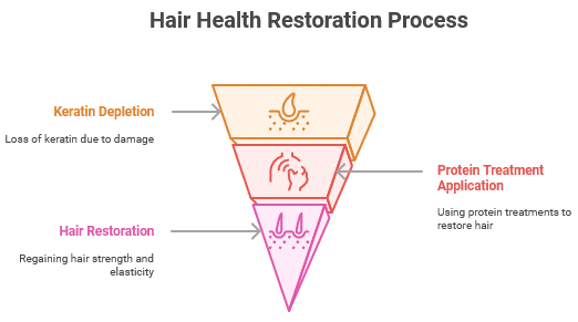 An inverted pyramid diagram titled 'Hair Health Restoration Process.' The top section is labeled 'Keratin Depletion' with an icon of a hair strand and text: 'Loss of keratin due to damage.' The middle section is labeled 'Protein Treatment Application' with an icon of a liquid dropper and text: 'Using protein treatments to restore hair.' The bottom section is labeled 'Hair Restoration' with an icon of strong hair strands and text: 'Regaining hair strength and elasticity.' Each section is color-coded from orange at the top to pink at the bottom