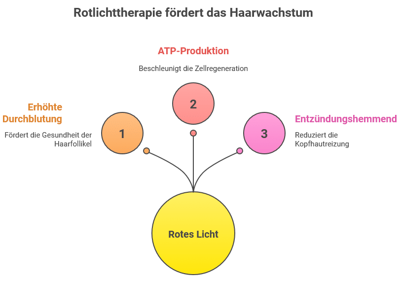 Infografik mit dem Titel ‚Rotlichttherapie fördert das Haarwachstum‘. Im Zentrum ein gelber Kreis mit der Beschriftung ‚Rotes Licht‘. Von dort führen drei Linien zu nummerierten Kreisen.