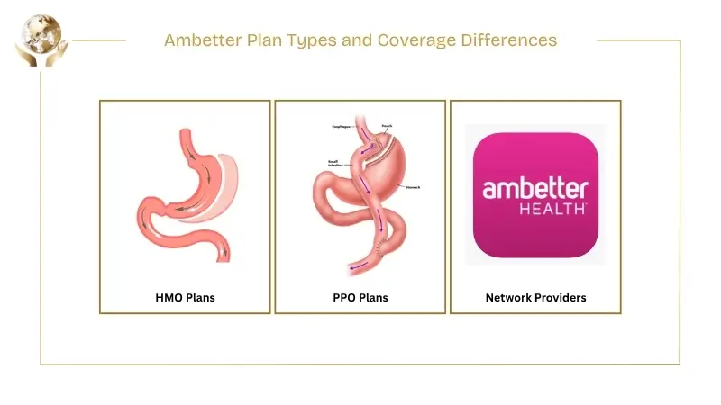 Graphic showing Ambetter HMO and PPO plan types and network providers, illustrating how coverage may affect bariatric surgery.