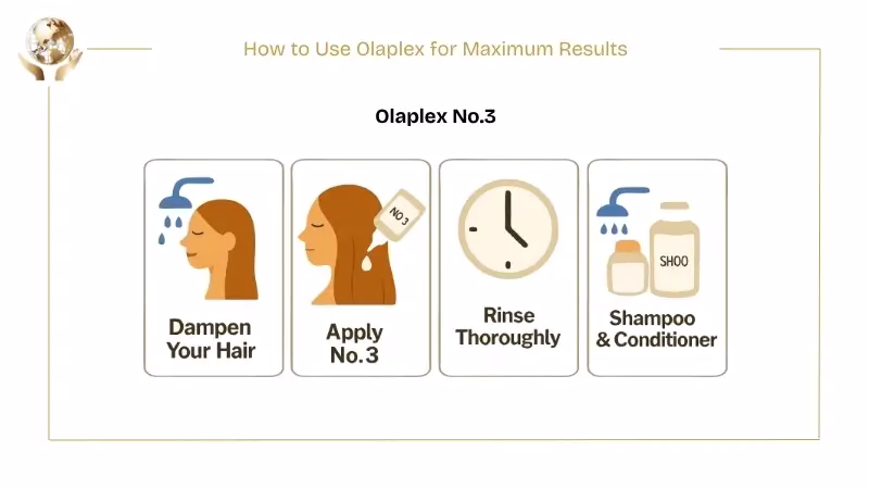Does Olaplex Cause Hair Loss? 6 Olaplex No.3
