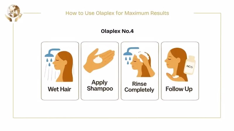 Does Olaplex Cause Hair Loss? 7 Olaplex No.4