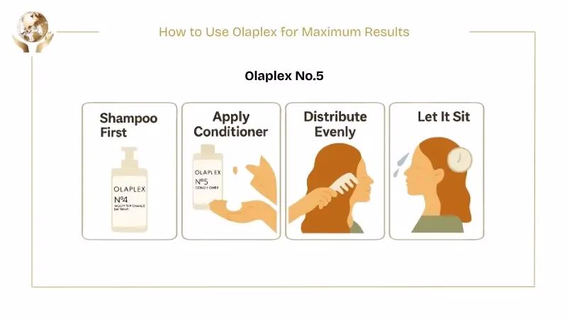 Does Olaplex Cause Hair Loss? 8 Olaplex No.5