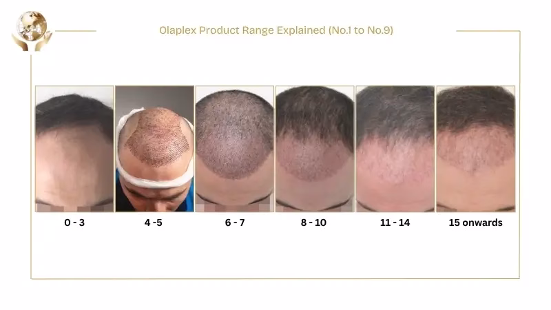 Does Olaplex Cause Hair Loss? 3 Olaplex Product Range Explained (No.1 to No.9)
