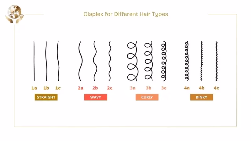 Does Olaplex Cause Hair Loss? 4 Olaplex for Different Hair Types