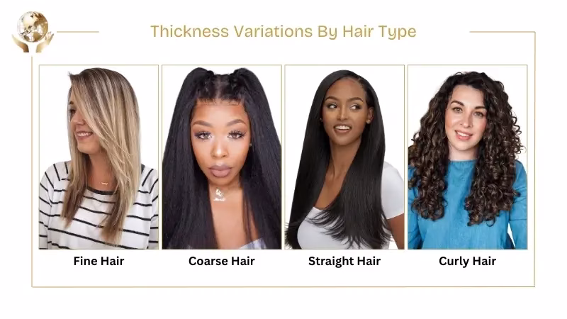 What Is The Cuticle Of The Hair? Signs Of Damage & Repair 3 Thickness Variations By Hair Type