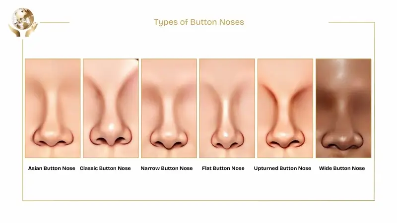 Button Nose Shape 2 Types of Button Noses