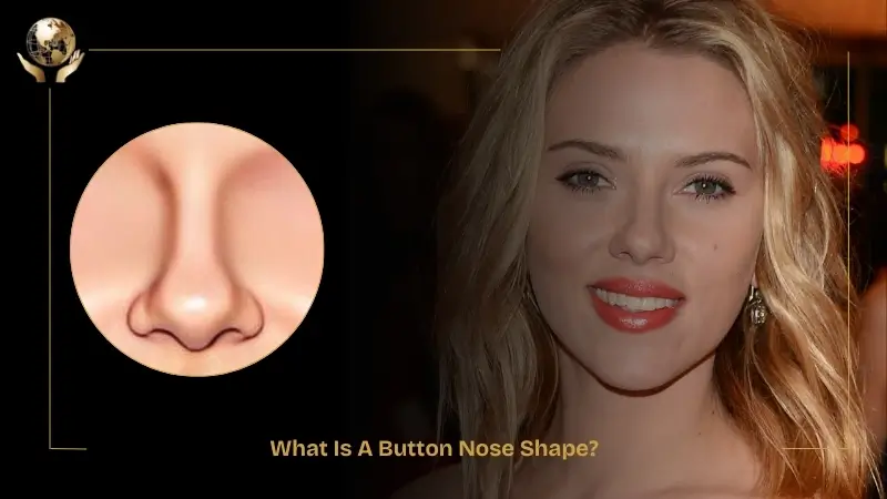 Button Nose Shape 1 What Is A Button Nose Shape